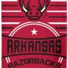 WinCraft Arkansas Razorback Beach Towel 30" X 60"